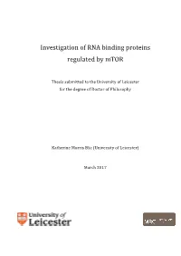 Investigation of RNA Binding Proteins Regulated by Mtor