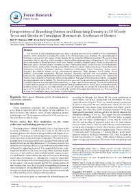 Perspectives of Branching Pattern and Branching Density in 30 Woody Trees and Shrubs in Tamulipan Thornscrub, Northeast of Mexic