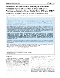 Reflections of Two Parallel Pathways Between the Hippocampus and Neocortex in Transient Global Amnesia: a Cross-Sectional Study Using DWI and SPECT
