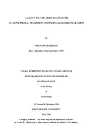 Validity in Lithic Debitage Analysis