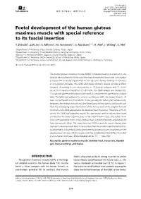 Download PDF File