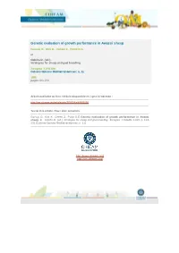 Genetic Evaluation of Growth Performance in Awassi Sheep