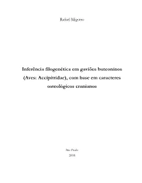 Aves: Accipitridae), Com Base Em Caracteres Osteológicos Cranianos
