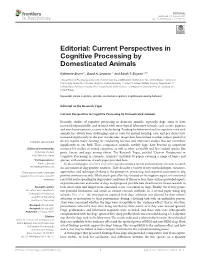 Current Perspectives in Cognitive Processing by Domesticated Animals