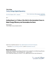 Getting Down to It: Policy of the G8+5 in the Immediate Future to Make Energy Efficiency and Renewables the Norm