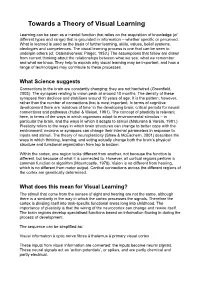 Towards a Theory of Visual Learning