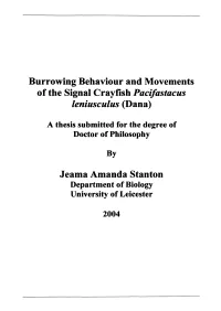 Burrowing Behaviour and Movements of the Signal Crayfish Pacifastacus Leniusculus (Dana)