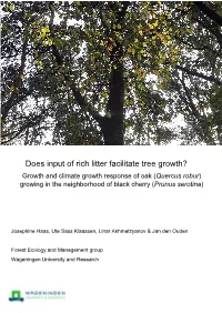 Does Input of Rich Litter Facilitate Tree Growth?