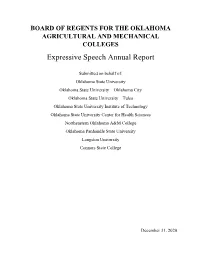 Expressive Speech Annual Report