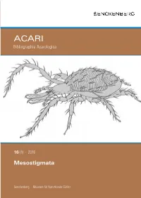 Mesostigmata No