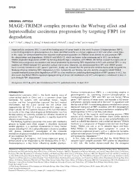 MAGE-TRIM28 Complex Promotes the Warburg Effect and Hepatocellular Carcinoma Progression by Targeting FBP1 for Degradation