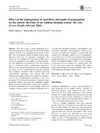 Effect of the Management of Seed Flows And