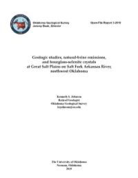 Oklahoma Geological Survey Open-File Report Disclaimer