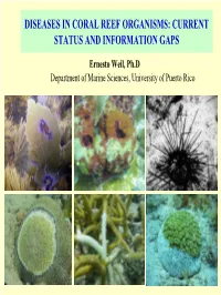 Diseases in Coral Reef Organisms: Current Status and Information Gaps
