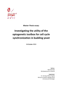 Investigating the Utility of the Optogenetic Toolbox for Cell Cycle Synchronization in Budding Yeast