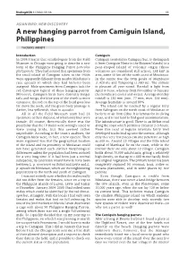 New Discovery: a New Hanging-Parrot from Camiguin Island, Philippines