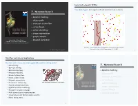 7. NETWORK FLOW II ‣ Bipartite Matching ‣ Disjoint Paths