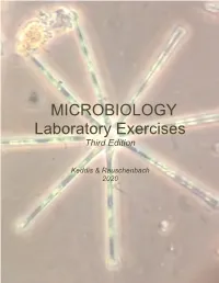 Microbiology Laboratory Exercises Third Edition 2020