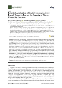Potential Application of Crotalaria Longirostrata Branch Extract to Reduce the Severity of Disease Caused by Fusarium