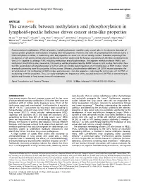 The Cross-Talk Between Methylation and Phosphorylation in Lymphoid-Speciﬁc Helicase Drives Cancer Stem-Like Properties
