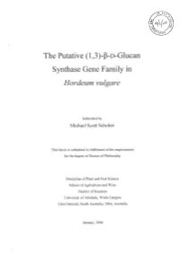 (1,3)-Β-D-Glucan Synthase Gene Family in Hordeum Vulgare