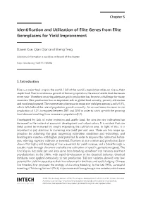 Identification and Utilization of Elite Genes from Elite Germplasms for Yield Improvement