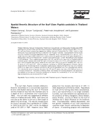 Spatial Genetic Structure of the Surf Clam Paphia Undulata in Thailand