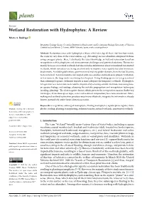 Wetland Restoration with Hydrophytes: a Review