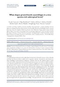 ﻿What Shapes Ground Beetle Assemblages in a Tree Species-Rich Subtropical Forest?