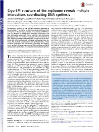 Cryo-EM Structure of the Replisome Reveals Multiple Interactions Coordinating DNA Synthesis