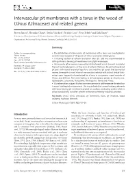 Intervascular Pit Membranes with a Torus Was Investigated in Steven Jansen Juvenile Wood Samples of 19 Species of Ulmus and Seven Related Genera