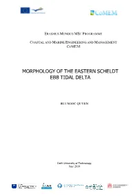 Morphology of the Eastern Scheldt Ebb Tidal Delta