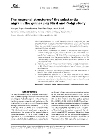 The Neuronal Structure of the Substantia Nigra in the Guinea Pig: Nissl and Golgi Study