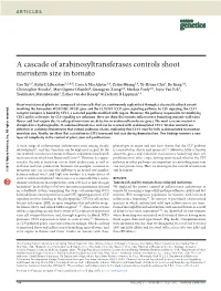A Cascade of Arabinosyltransferases Controls Shoot Meristem Size in Tomato