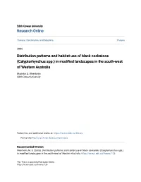 Distribution Patterns and Habitat Use of Black Cockatoos (Calyptorhynchus Spp.) in Modified Landscapes in the South-West of Western Australia