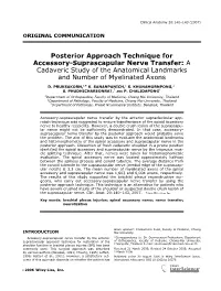 Posterior Approach Technique for Accessory-Suprascapular Nerve Transfer: a Cadaveric Study of the Anatomical Landmarks and Number of Myelinated Axons