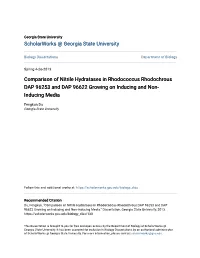 Comparison of Nitrile Hydratases in Rhodococcus Rhodochrous DAP 96253 and DAP 96622 Growing on Inducing and Non- Inducing Media