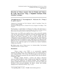 Detection of Tobacco Mosaic Virus in Petunia and Tobacco by Light Microscopy Using a Simplified Inclusion Body Staining Technique