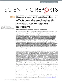 Previous Crop and Rotation History Effects on Maize Seedling Health