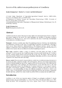 Secrets of the Subterranean Pathosystem of Armillaria Abstract