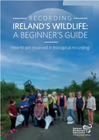 Recording Ireland's Wildlife: a Beginner's Guide