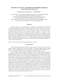 The Impact of Small and Medium Enterprises Dilemmas on Business Performance