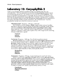 Laboratory 12: Caryophyllids 2