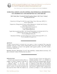 (Plecoptera: Peltoperlidae), Distribution, Egg Morphology and Description of a New Species