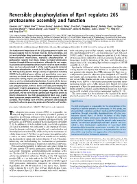 Reversible Phosphorylation of Rpn1 Regulates 26S Proteasome Assembly and Function