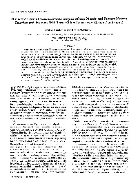 The Mec-8 Gene of Caenorhabditis Elegans Affects Muscle and Sensory Neuron Function and Interacts with Three Other Genes: Unc-52, Smu-1 and Smu-2