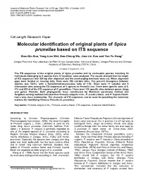 Molecular Identification of Original Plants of Spica Prunellae Based on ITS Sequence