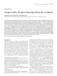 Synaptic GABAA Receptor Clustering Without the 2 Subunit