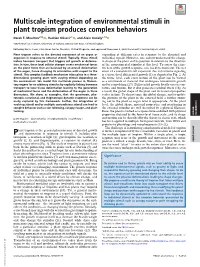 Multiscale Integration of Environmental Stimuli in Plant