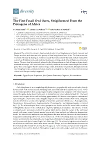 The First Fossil Owl (Aves, Strigiformes) from the Paleogene of Africa